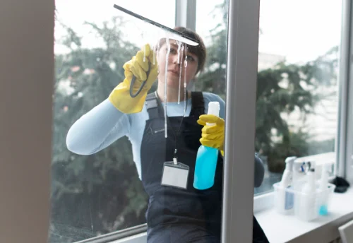 Nettoyage de vitres intérieures et extérieures à Laizé